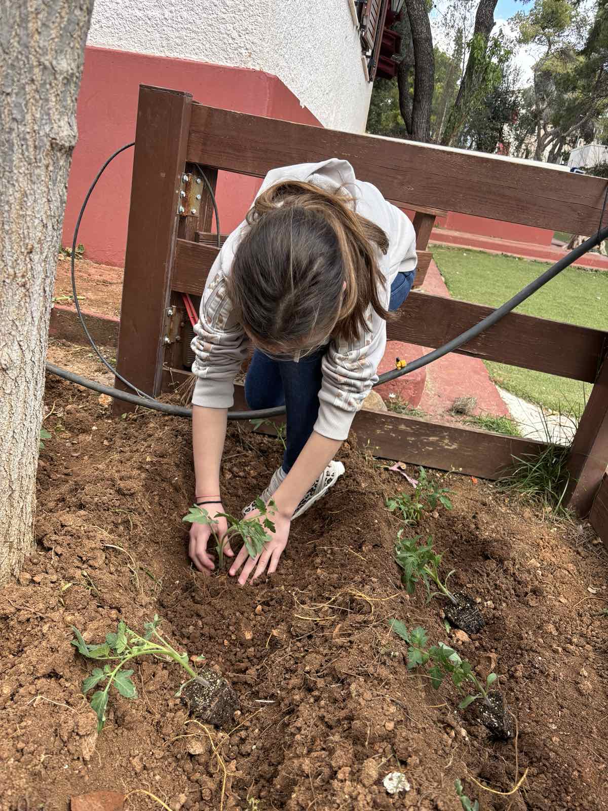 IMG 6d87f4940d6819fed5d01b1db8d3d2c8 V